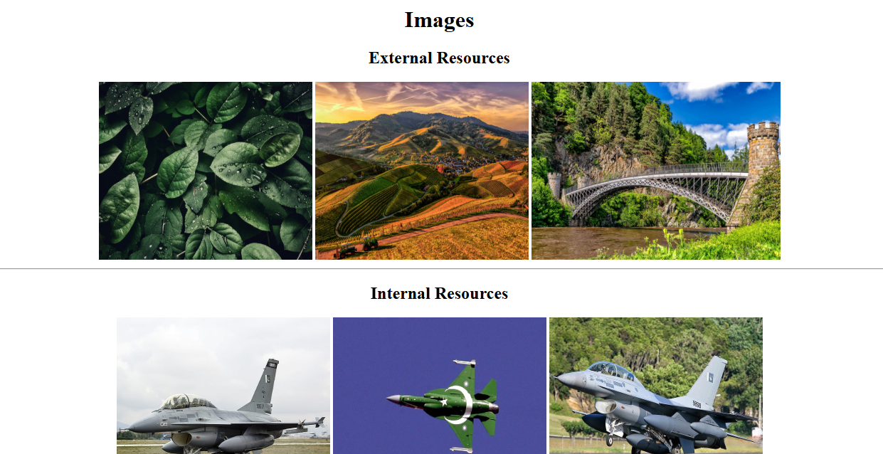 HTML assignment preview